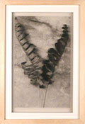 Nature morte (fleur maquette)